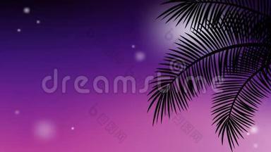 暑假背景与动画影片扭动的热带棕榈树在彩色夕阳天空树枝。